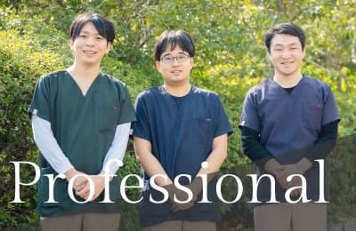 プロフェッショナル